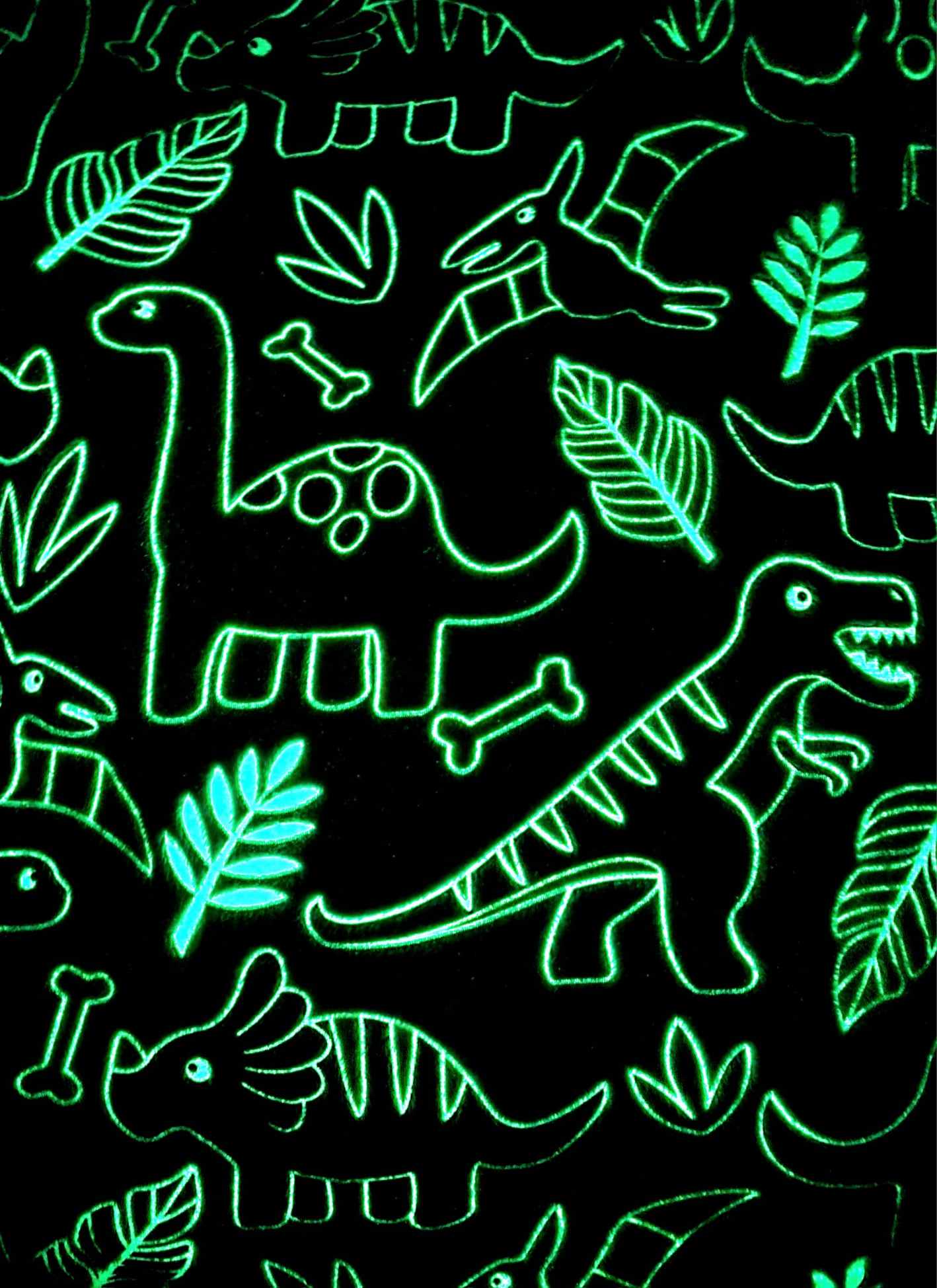 Dinosaur blanket glowing in the dark